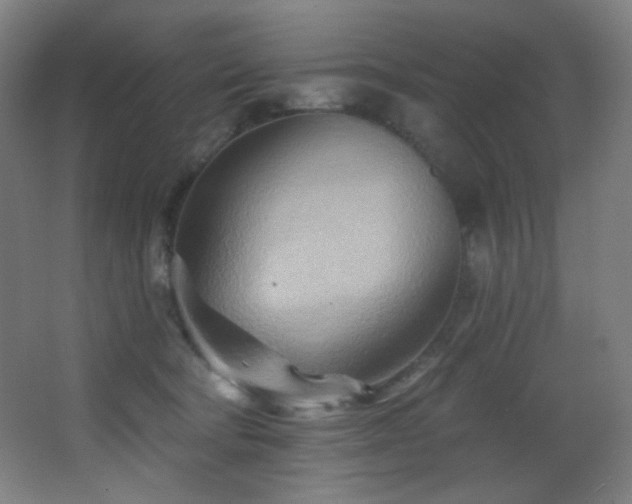 X0000068320322200604211212