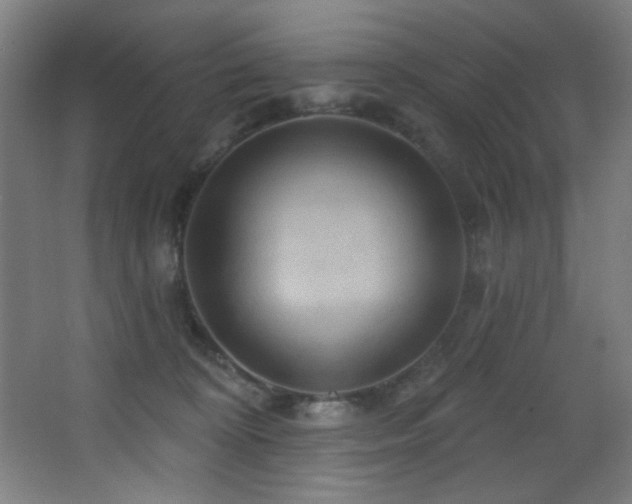 X0000068320324200604211212