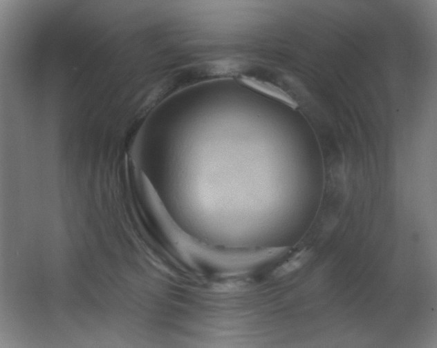 X0000068320325200604211212