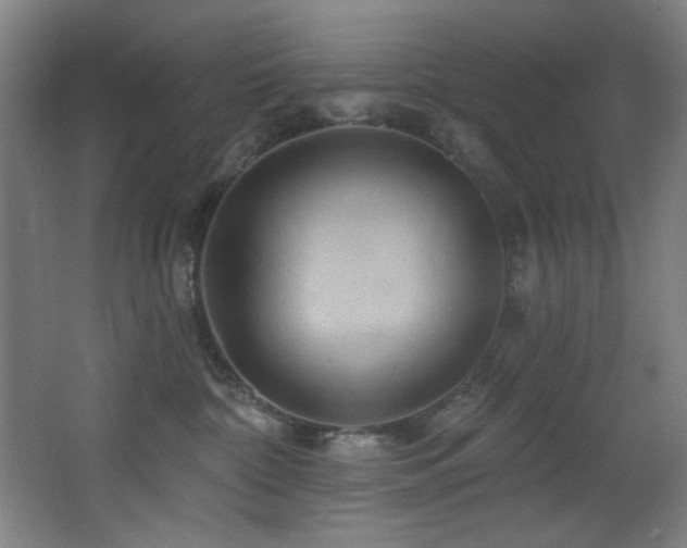 X0000068320332200604211212
