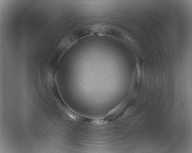 X0000068320333200604211212