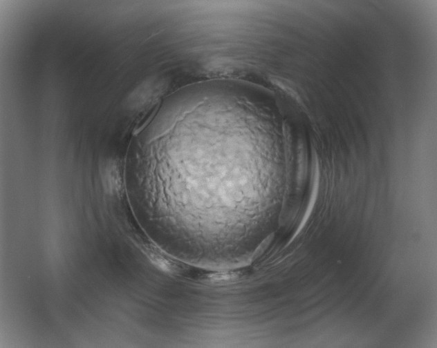 X0000068320335200604211212