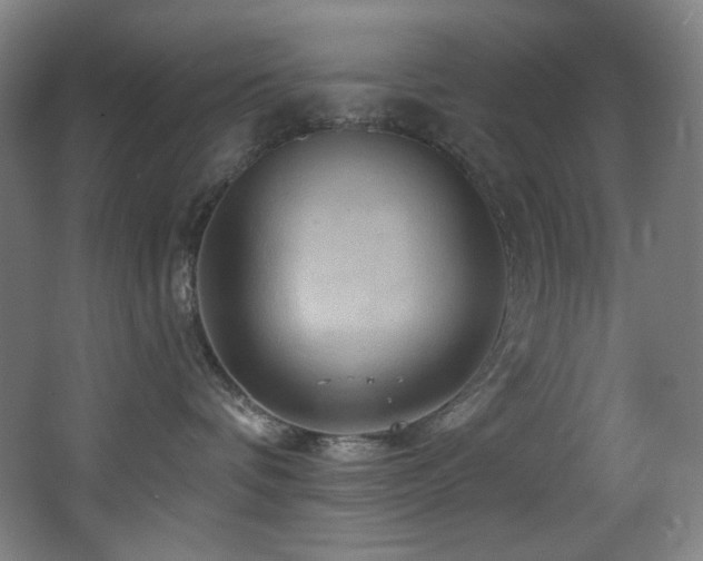 X0000068320336200604211212