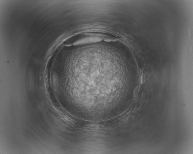 X0000068320339200604211211