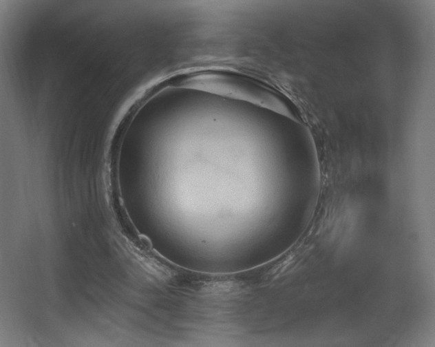 X0000068320342200604211211