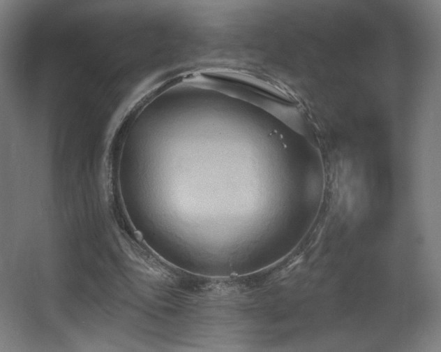 X0000068320343200604211211