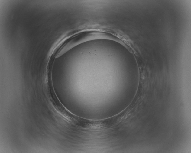 X0000068320344200604211211