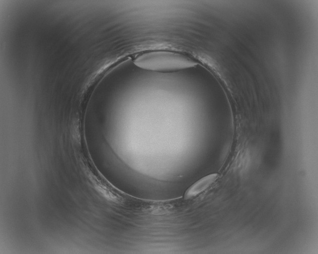 X0000068320345200604211211