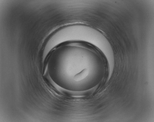 X0000068320350200604211211