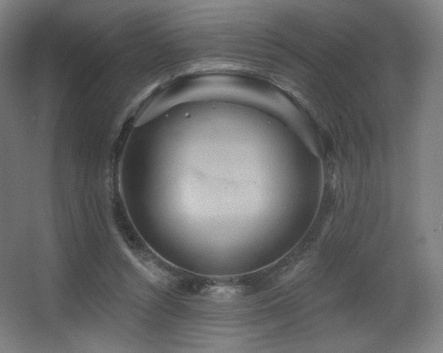 X0000068320352200604211211
