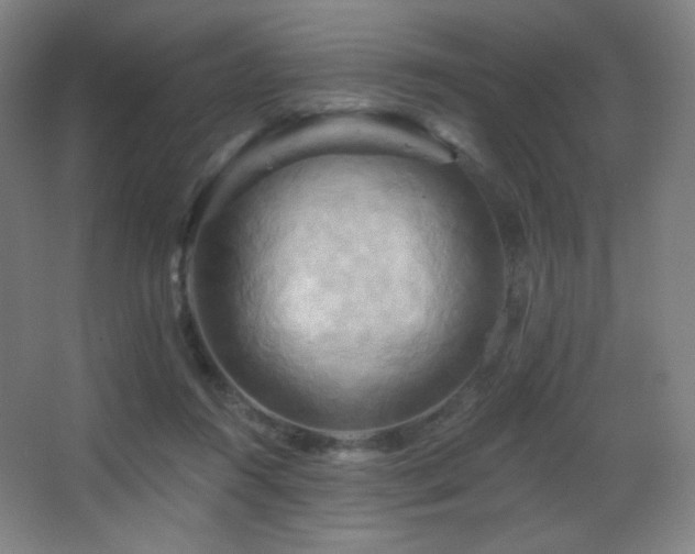 X0000068320360200604211211