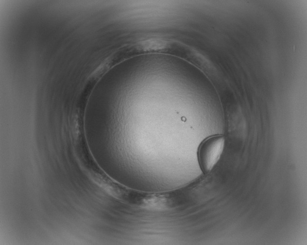X0000068320362200604211211