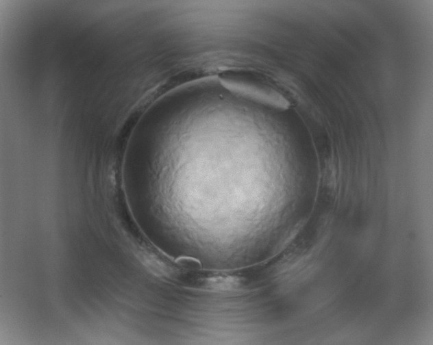 X0000068320363200604211211