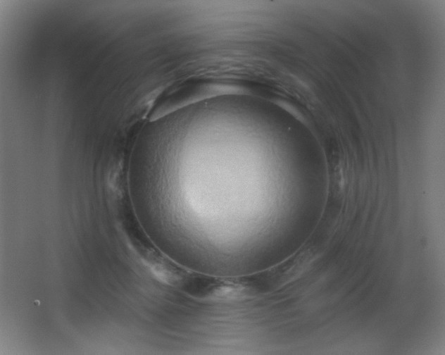 X0000068320364200604211211