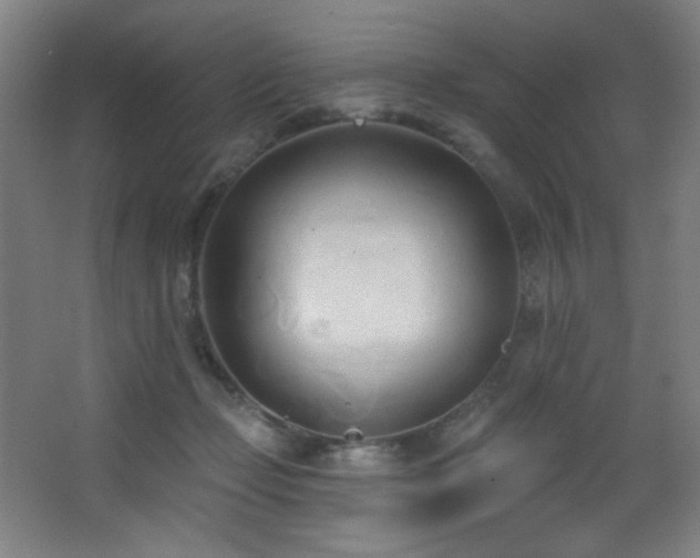 X0000068320365200604211211