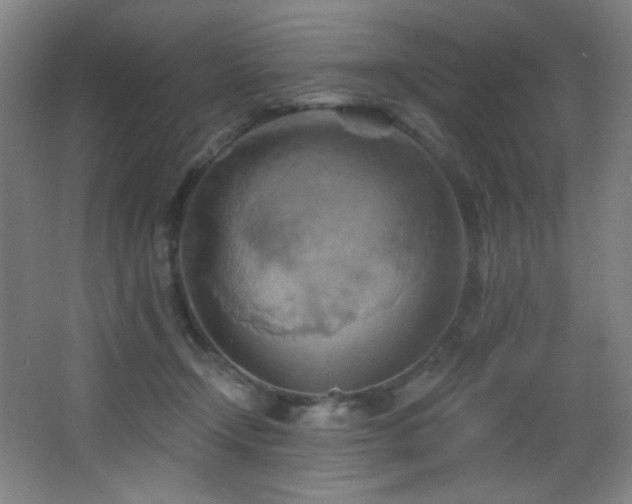 X0000068320366200604211211