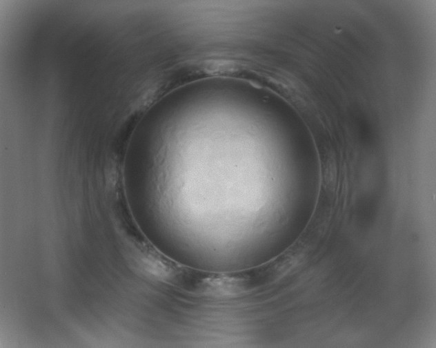 X0000068320367200604211211