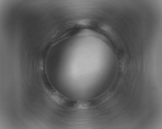 X0000068320368200604211211