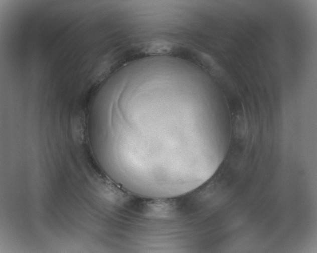 X0000068320370200604211211