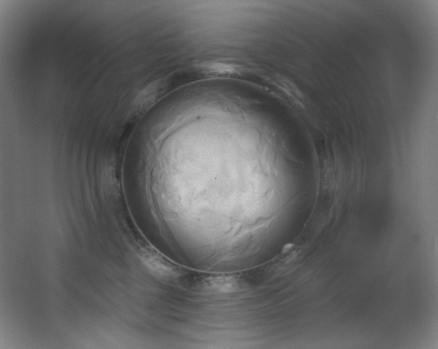 X0000068320377200604211211