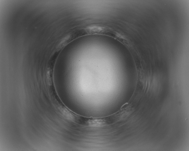 X0000068320378200604211211