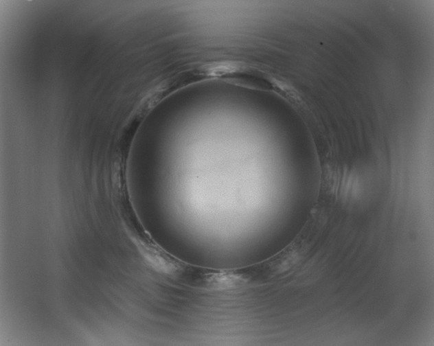 X0000068320379200604211211