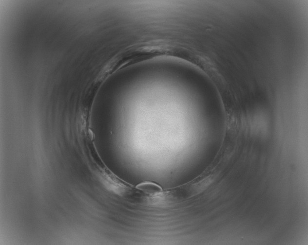 X0000068320382200604211212