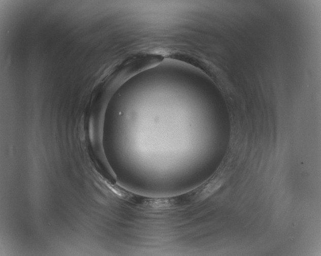 X0000068320384200604211212