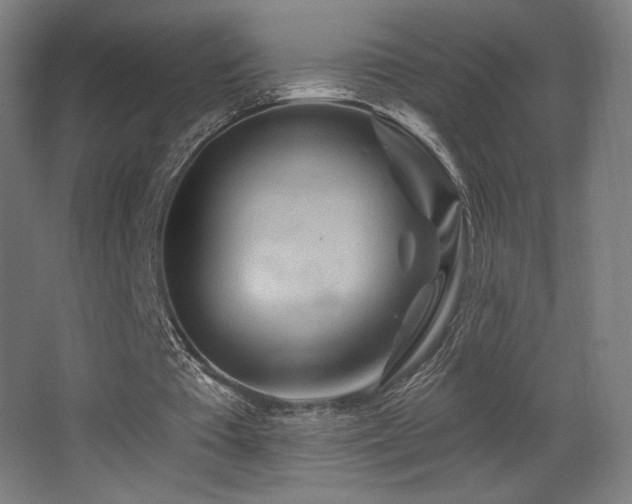 X0000068320385200604211211
