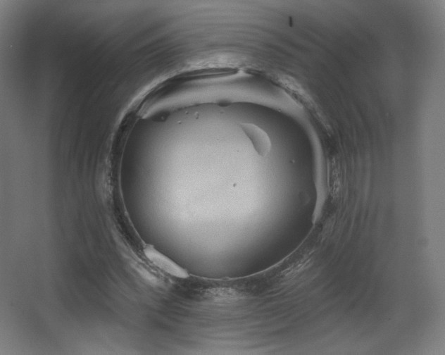 X0000068320392200604211211
