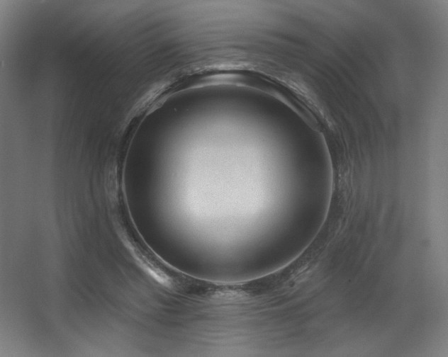X0000068320397200604211211