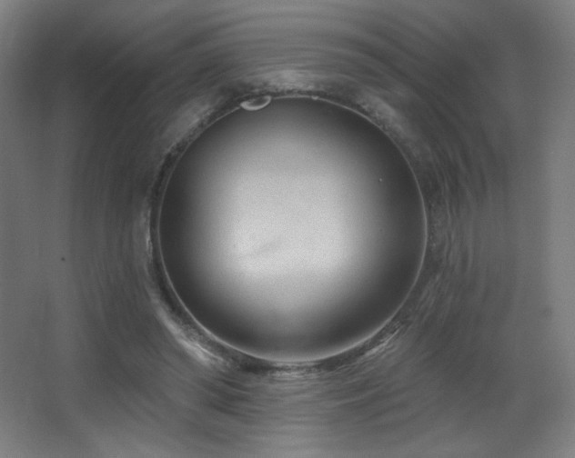 X0000068320398200604211211