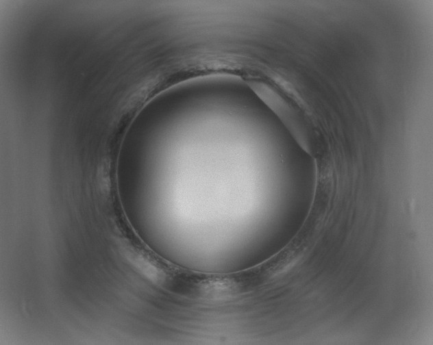 X0000068320402200604211210