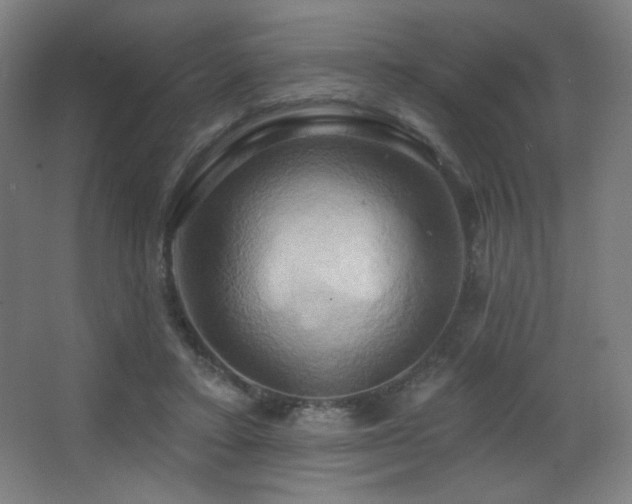 X0000068320403200604211210