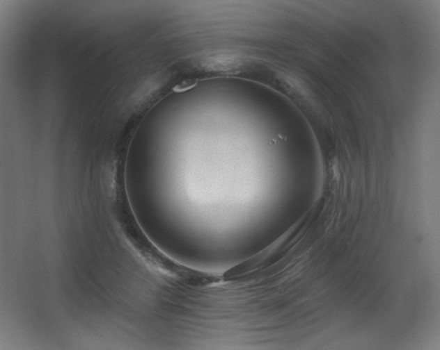 X0000068320404200604211210