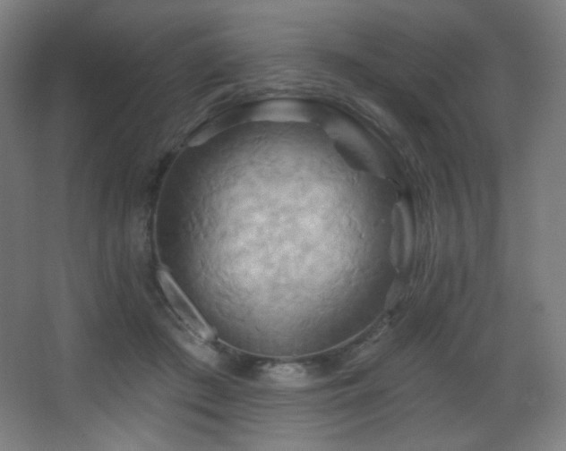 X0000068320409200604211210