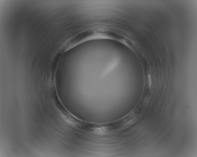 X0000068320411200604211210