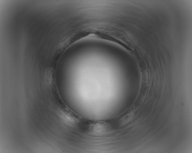 X0000068320412200604211210