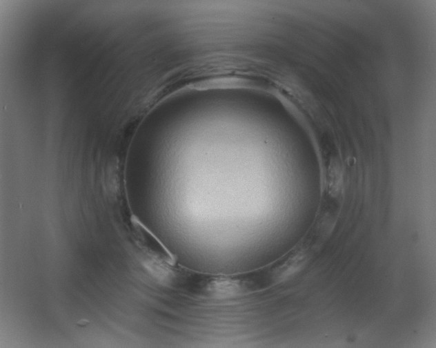 X0000068320413200604211210