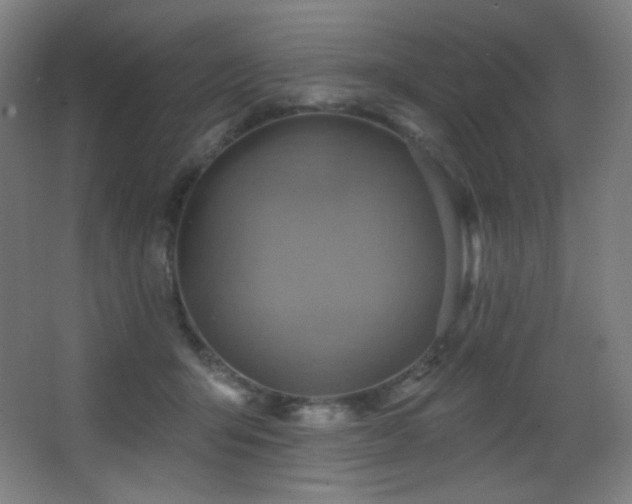 X0000068320415200604211210