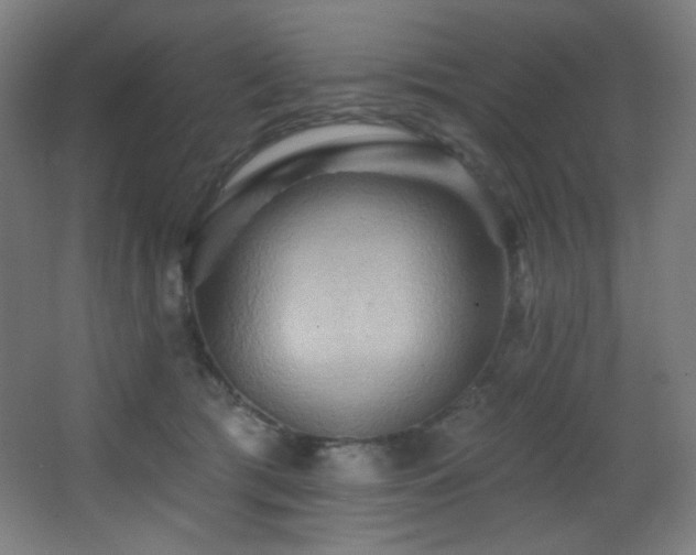 X0000068320417200604211210