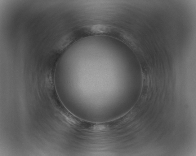 X0000068320418200604211210