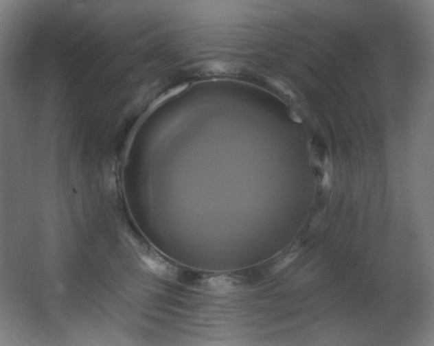 X0000068320423200604211210