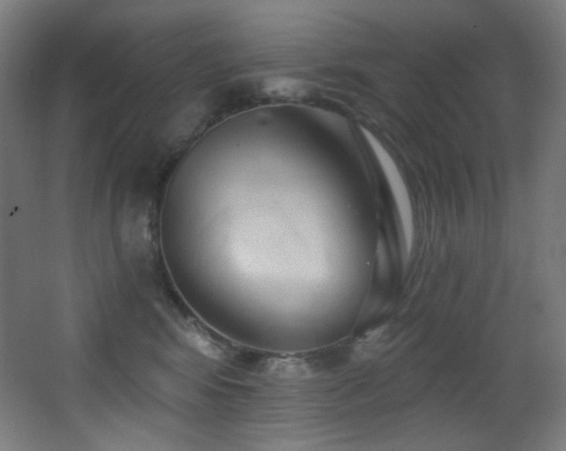 X0000068320424200604211210