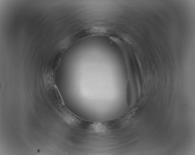 X0000068320425200604211210