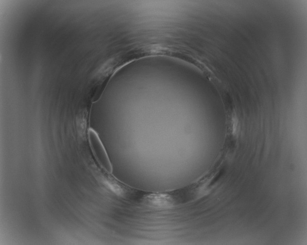 X0000068320427200604211210
