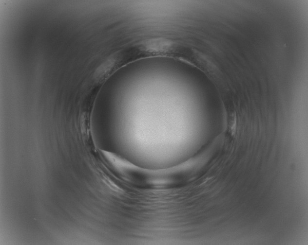 X0000068320428200604211210