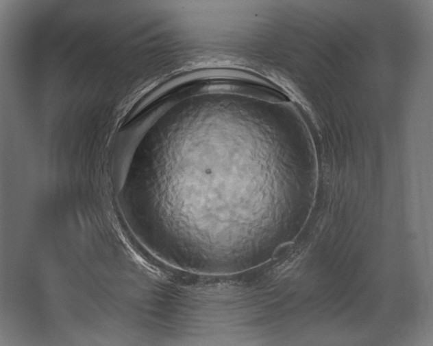 X0000068320433200604211209