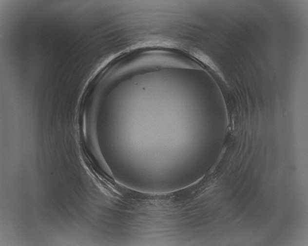 X0000068320436200604211209