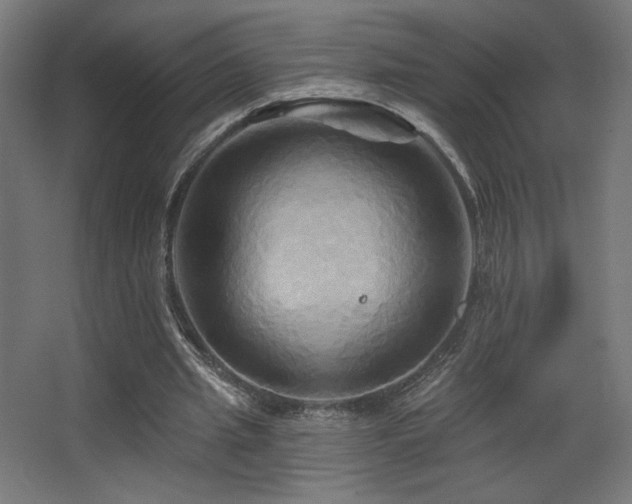 X0000068320437200604211209